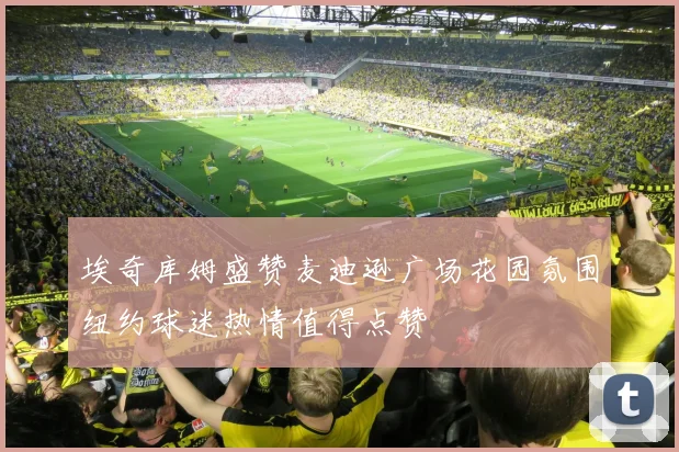 埃奇库姆盛赞麦迪逊广场花园氛围纽约球迷热情值得点赞